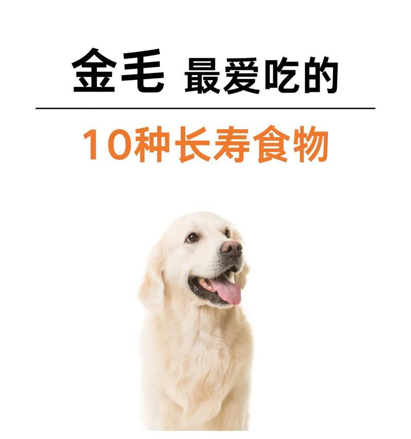 狗为什么吃得很少食物？（探究狗食量少的原因以及对狗主人的启示）