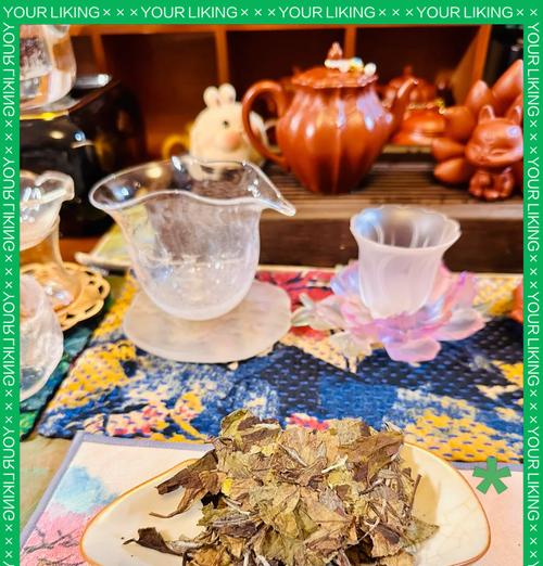 银龙的最爱（揭秘银龙的饮食秘密，一窥其独特的美味世界）