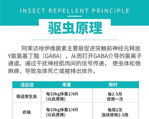 以犬宝贝是什么药？（了解以犬宝贝，保护你的爱犬健康）