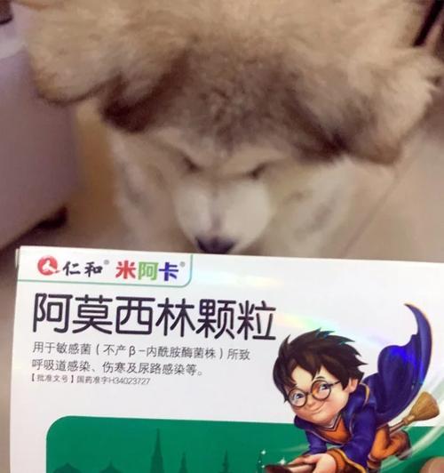 探究以阿拉斯加生前的主要症状（了解以阿拉斯加生前的病症及其表现）