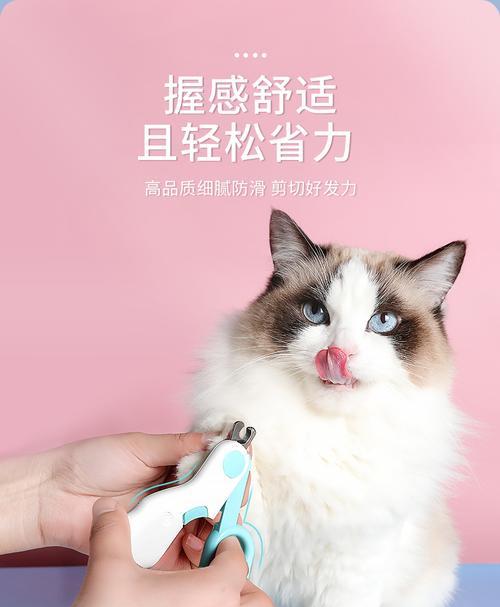宠物护理必备（选择适合宠物的指甲刀，让宠物的爪子保持健康）