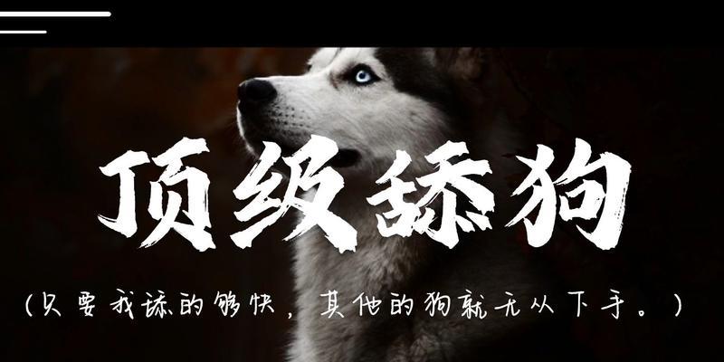 为什么狗舔手指很舒服？（探寻狗舔手指背后的原因）
