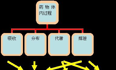 诱导剂的定义和作用解析（揭开诱导剂的神秘面纱，探究其在生物学中的重要性）