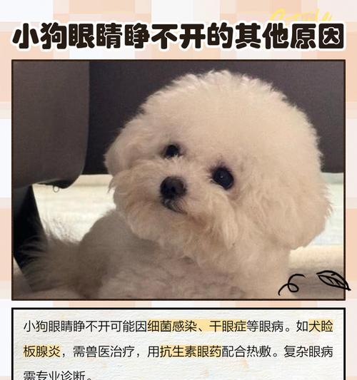 解读干眼症（揭开干眼症的神秘面纱，预防和治疗干眼症的关键）