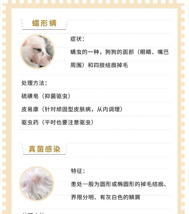 揭秘狗狗皮肤病的成因与预防方法（宠物护理）