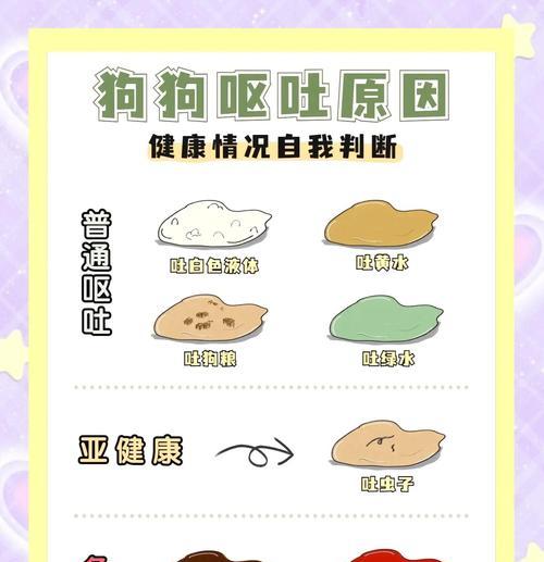 狗狗胃炎，病因与治疗（了解胃炎的病因和治疗方法，让狗狗重获健康）