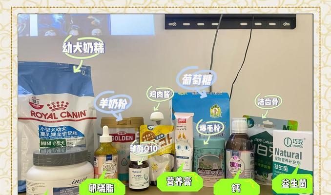 如何承担每月1700元的狗狗开销？（普通家庭如何养得起高花费的狗狗）