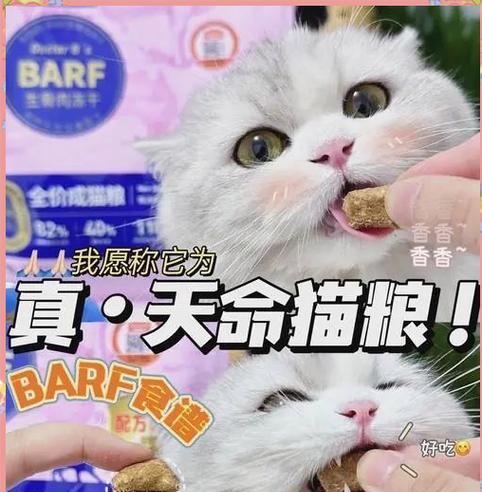 新生小猫的饮食习惯及适宜饮食时间（探究新生小猫在何时开始进食）