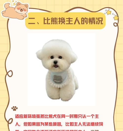 比熊剃毛后多久能洗澡？（洗澡前后的注意事项及护理建议）