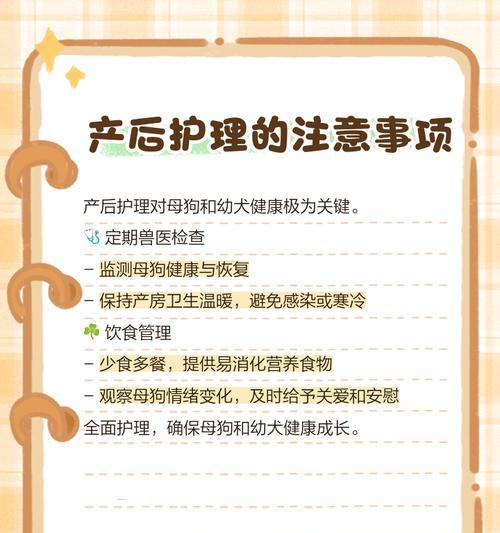 狗狗产后护理全攻略（技巧、注意事项一网打尽，让你的母狗健康无忧）