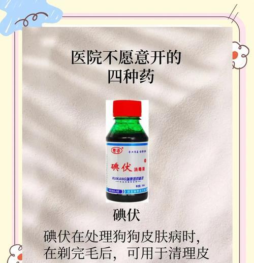 狗狗常备药品及家庭必备清单（为宠物狗的健康保驾护航，掌握这些药品才能放心！）