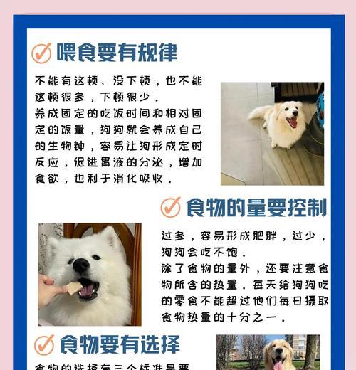 照顾不同体型的狗狗的喂养问题和差异性（了解体型对狗狗喂养和照顾的影响，）