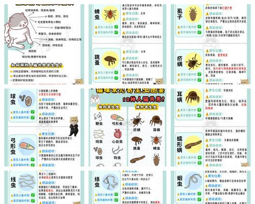 幼猫咪驱虫时间表（养猫必看，幼猫咪驱虫的重要性和时间规划）