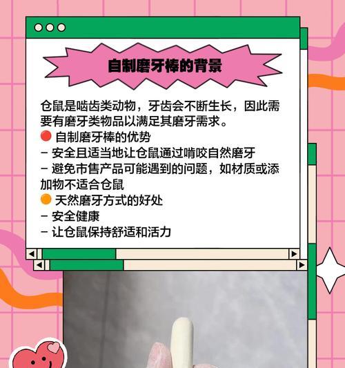 仓鼠磨牙石的选择（常见仓鼠磨牙石种类及选择技巧）