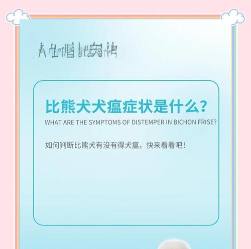 比熊犬拉肚子的处理方法（比熊犬肠胃不好的表现及应对策略）