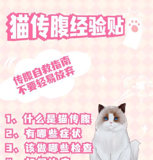 了解猫传染性腹膜炎及其感染途径