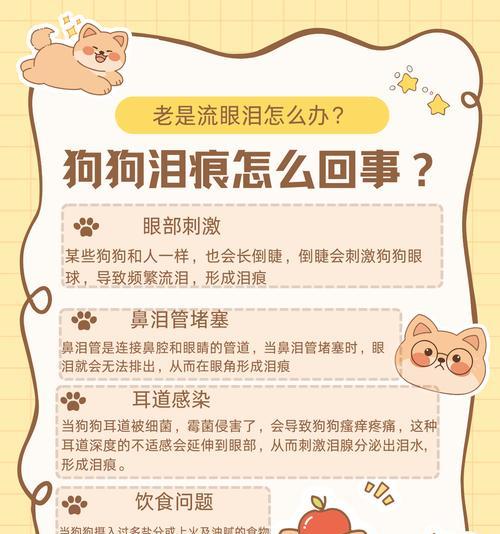 狗狗泪痕问题解析（了解泪道阻塞的原因及治疗方法）