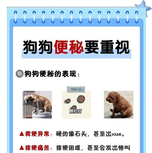 狗狗便秘手术后多久可以喝水？（了解狗狗便秘手术后恢复期及喝水的时间安排）