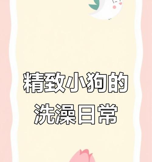 狗洗澡全攻略（了解狗洗澡的正确步骤和必备用品）