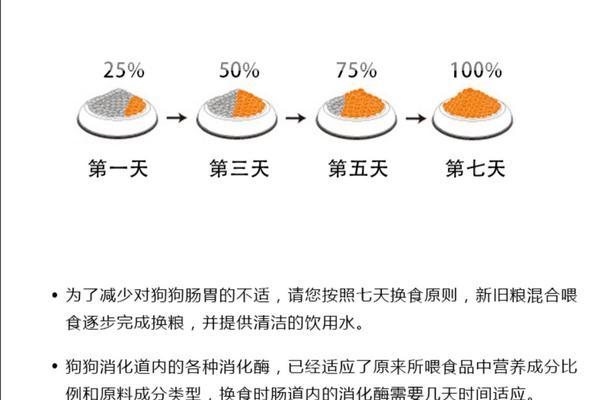 泰迪每公斤狗粮可以维持多长时间？（揭秘泰迪狗狗食量与饮食习惯）