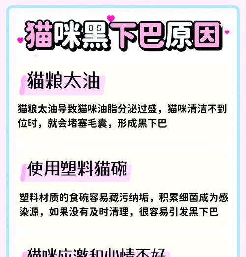 猫的伤口痂化过程揭秘（从伤口到痂疤，你知道需要多久吗？）