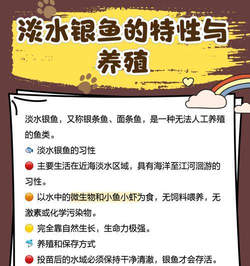 冬季如何科学养护银龙鱼（换水频率与注意事项）