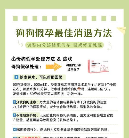 狗怀孕期间产奶的时间及相关注意事项（狗狗产奶的关键时刻和合理喂养方法）