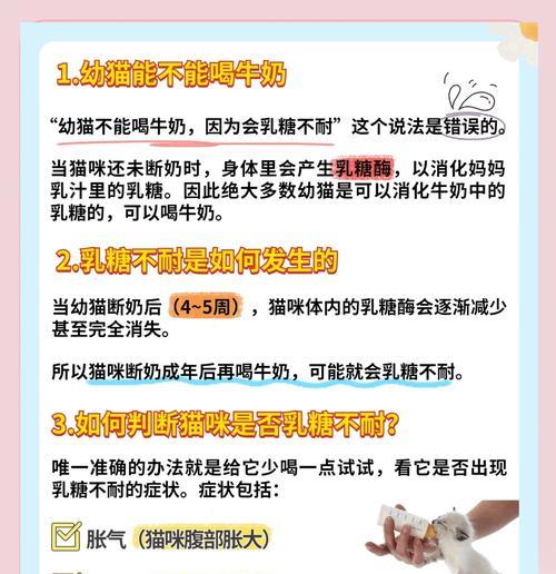 如何照顾20天大的小猫（喂养和护理的关键技巧）