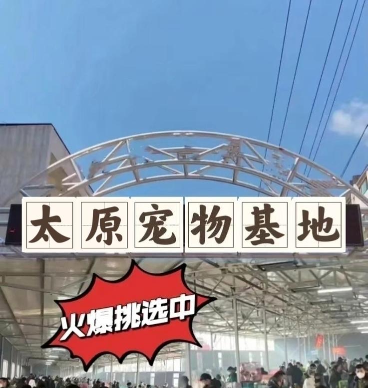 以太原宠物店招人情况调查（详细了解以太原地区宠物店招人情况，揭秘宠物行业就业趋势）
