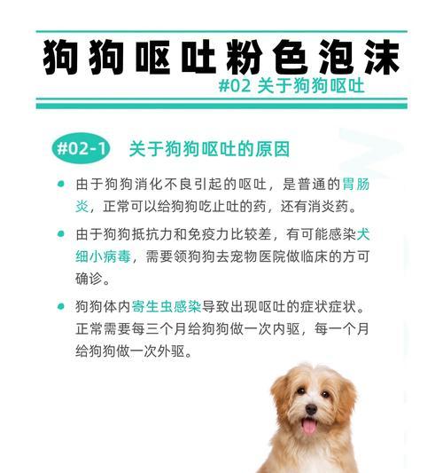 狗狗腹水的原因及预防方法（了解狗狗腹水的常见原因，保护我们的宠物）