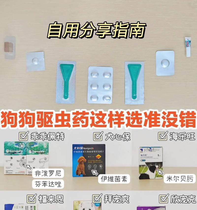 狗狗驱虫须知（定期驱虫的重要性及注意事项）