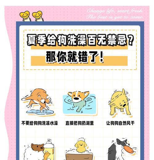 正确给狗狗止痛的方法（了解为何不能给狗狗人用止痛药，以及正确的止痛方法）