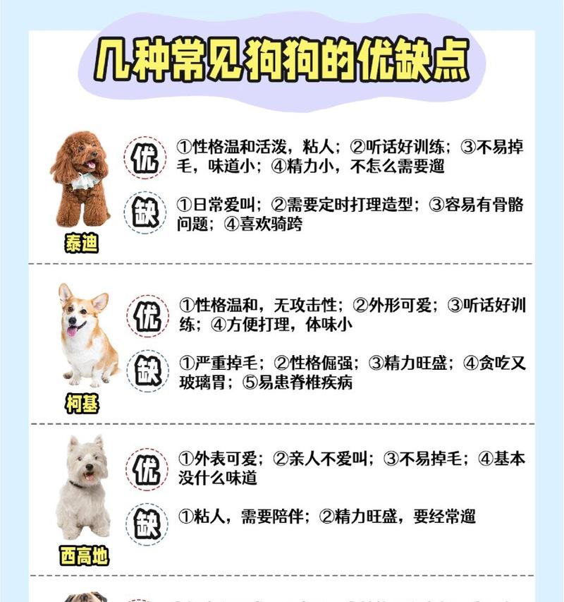 贵宾犬剃毛（详解贵宾犬剃毛后的生长周期及影响因素）