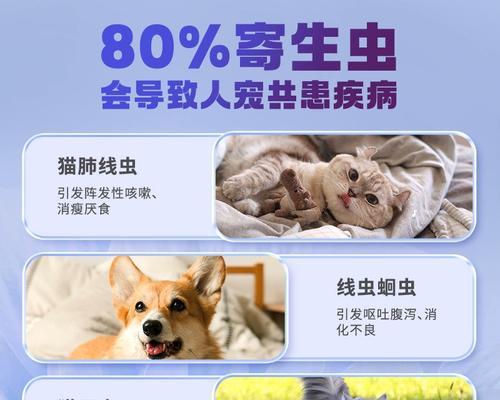 驱虫药在体内的持续时间（从服用到排出，驱虫药在人体内停留多久？）