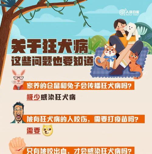 犬类传染病（了解犬类传染病，保护家庭健康）