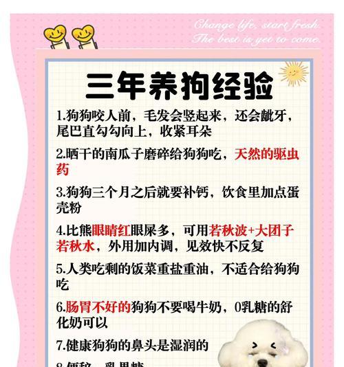 狗狗断奶后的饲养指南（照顾小狗宝宝的关键）