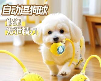 狗狗的最爱（让你的狗狗玩得开心，健康成长！）