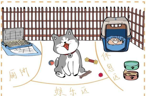 狗狗大小便能忍多久？剖析狗狗大小便控制能力的关键因素（影响狗狗大小便控制能力的因素及培养方法）