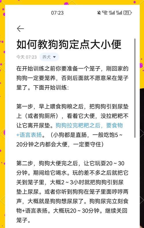 训练狗狗需要多久？（探究狗狗训练的时间要求）