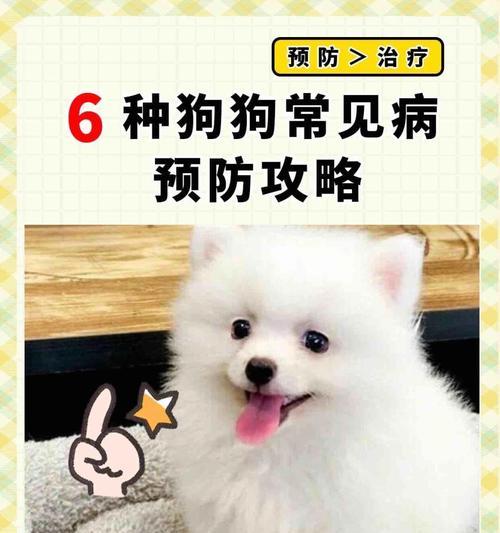 狗的致命传染病（了解狗的常见致命传染病，保护我们的毛茸伙伴）