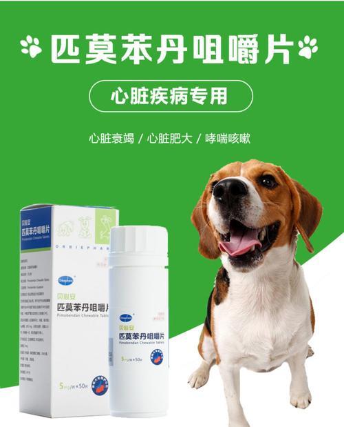 了解狗哮喘的症状及治疗方法（狗哮喘的症状及治疗方法一览）