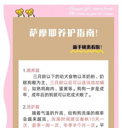 萨摩耶洗澡频率（以萨摩耶为例，探讨洗澡频率对犬只健康的影响）