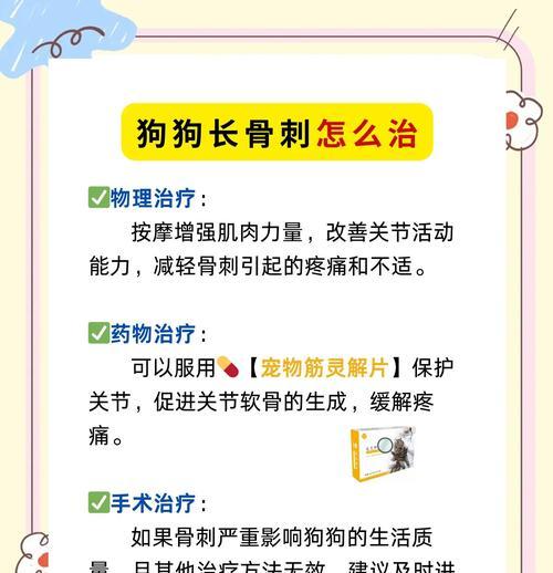 揭开狗狗骨质增生的谜团（了解狗狗骨质增生的病因、症状和治疗方法）