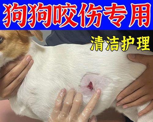 狗狗伤口愈合时间有多长？（了解狗狗伤口愈合的时间和关键因素）