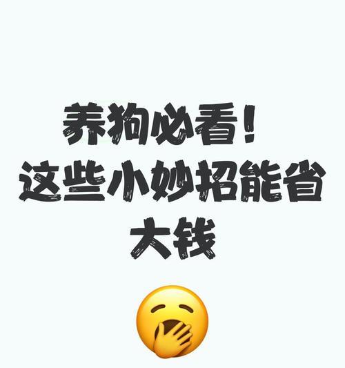 “花钱”超厉害的5种狗，主人们的大冤种选择（探索豪华养宠的奢侈与痛苦，这些狗种让你无法收手）