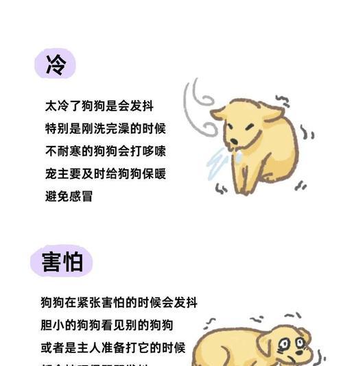 狗的紧张表现及应对方法（认识狗的紧张反应并帮助其放松）