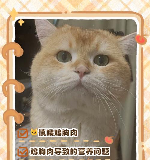 猫咪饮食指南（了解猫咪吃鸡肉的最佳时间和数量，给它们提供均衡营养）