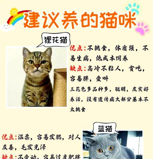 猫的排便频率与健康——探索猫可以多久不拉屎的现象（揭开猫咪排便秘密，维持其良好健康的关键）