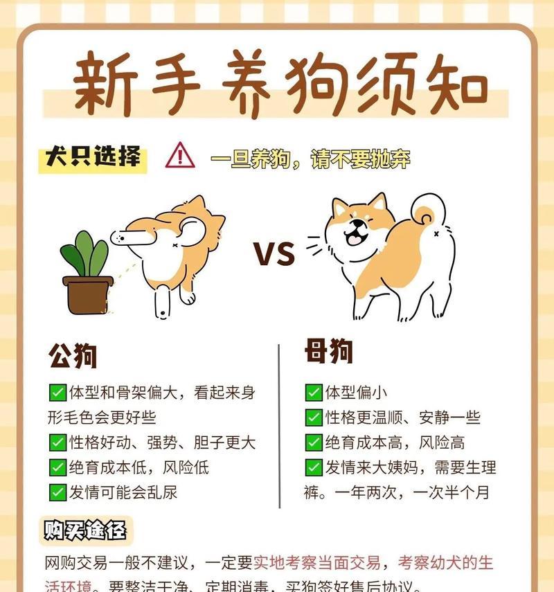 狗狗液体钙的选择与使用经验分享（挑选适合狗狗的液体钙品牌，让它们健康成长）