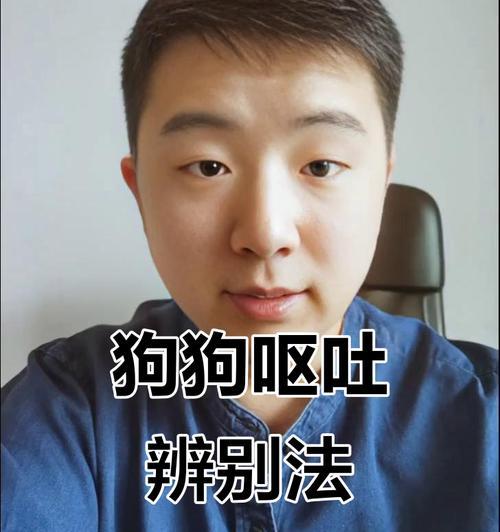 狗狗呕吐怎么办？（如何分辨狗狗的呕吐物）